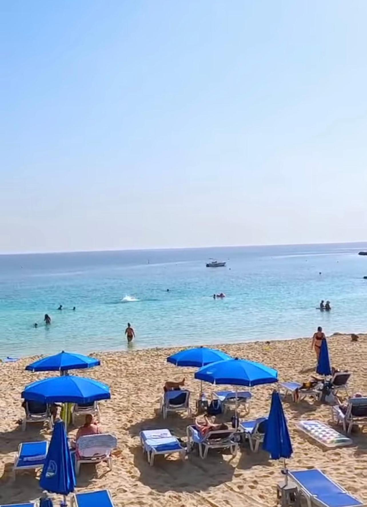 Nissi Elena -Sunshine Apt Ajia Napa Zewnętrze zdjęcie